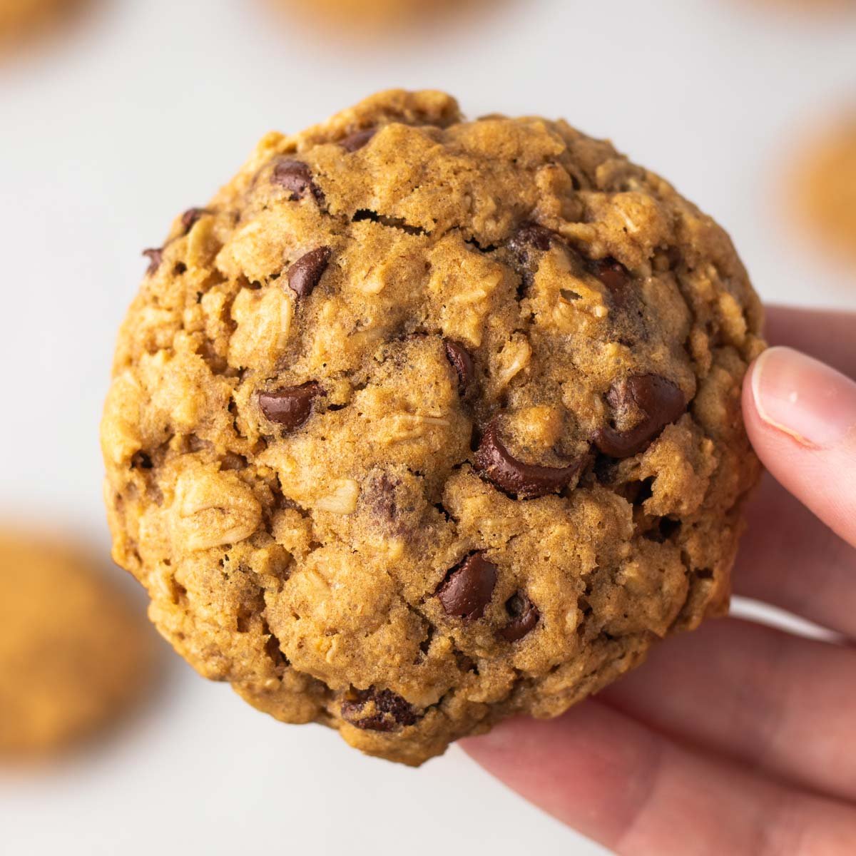  Vegan Oatmeal Chocolate Chunk Cookies