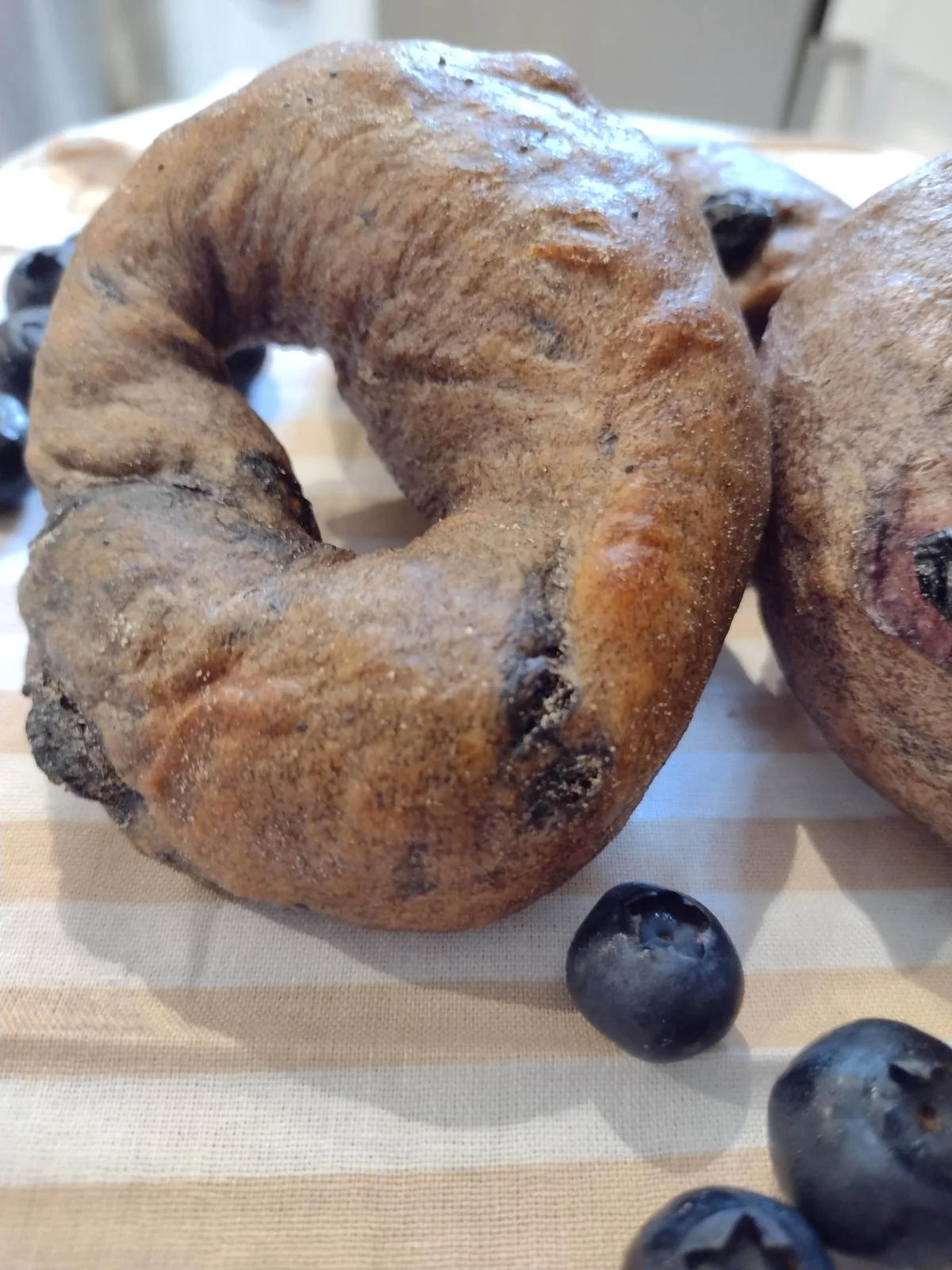 Bagel, NY Style Sourdough Blueberry Cinnamon- Pack of 12