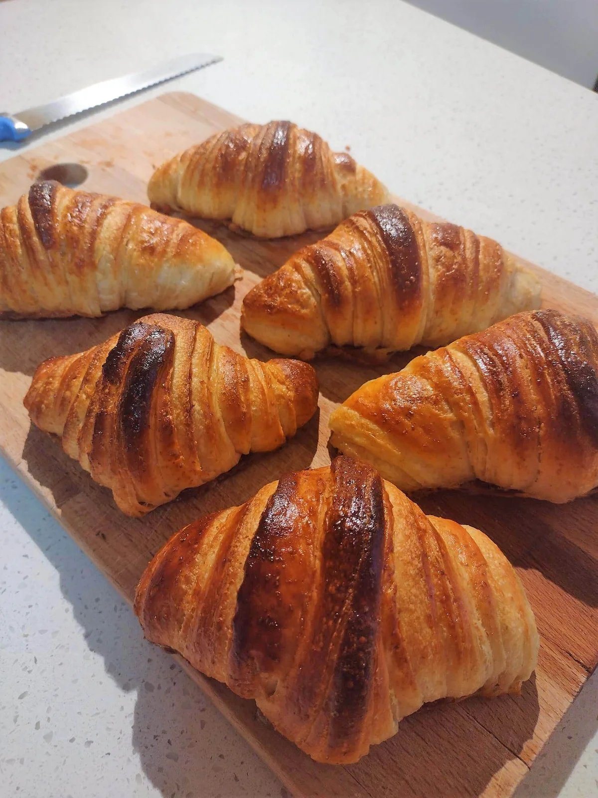 Bicolor Croissant Croissant- Pack of 6