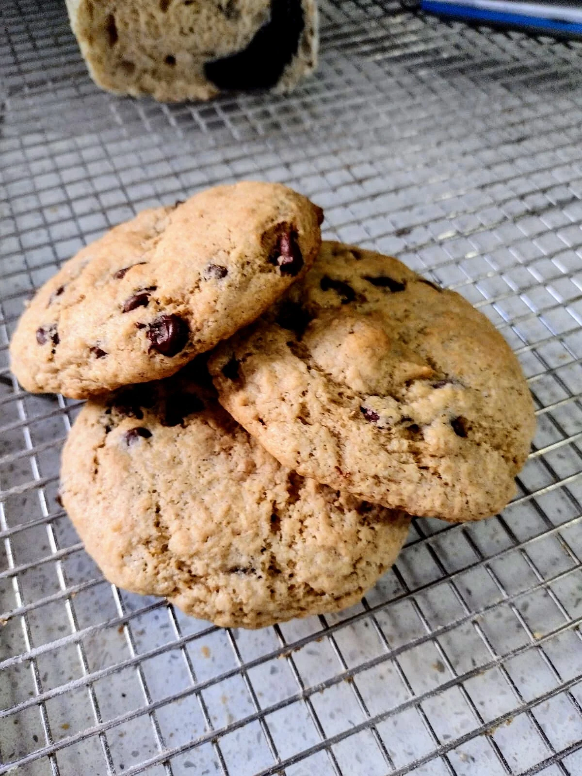 Chocolate Chip Sourdough Cookies- by Dozen (Pack of 12)