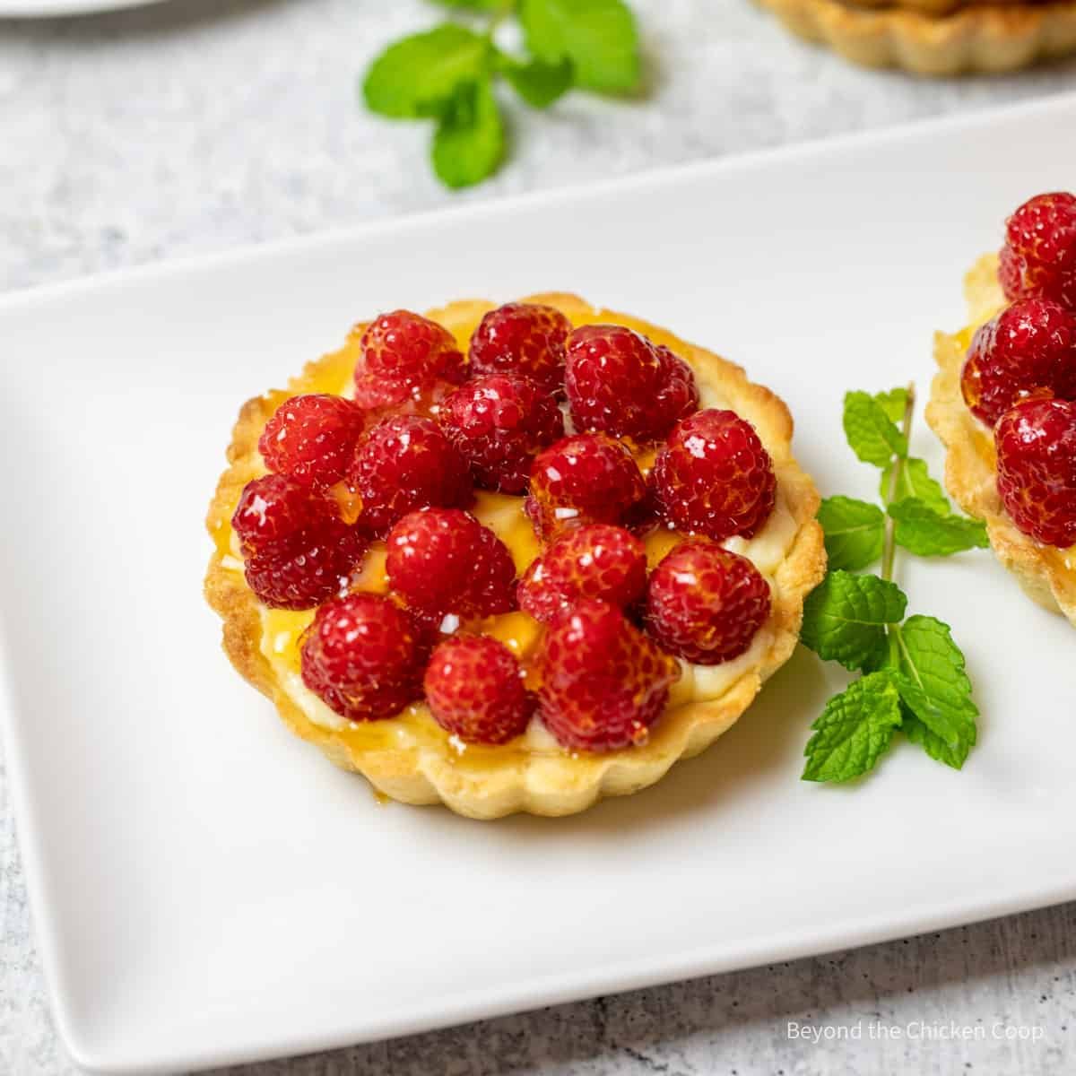 RASPBERRY TART