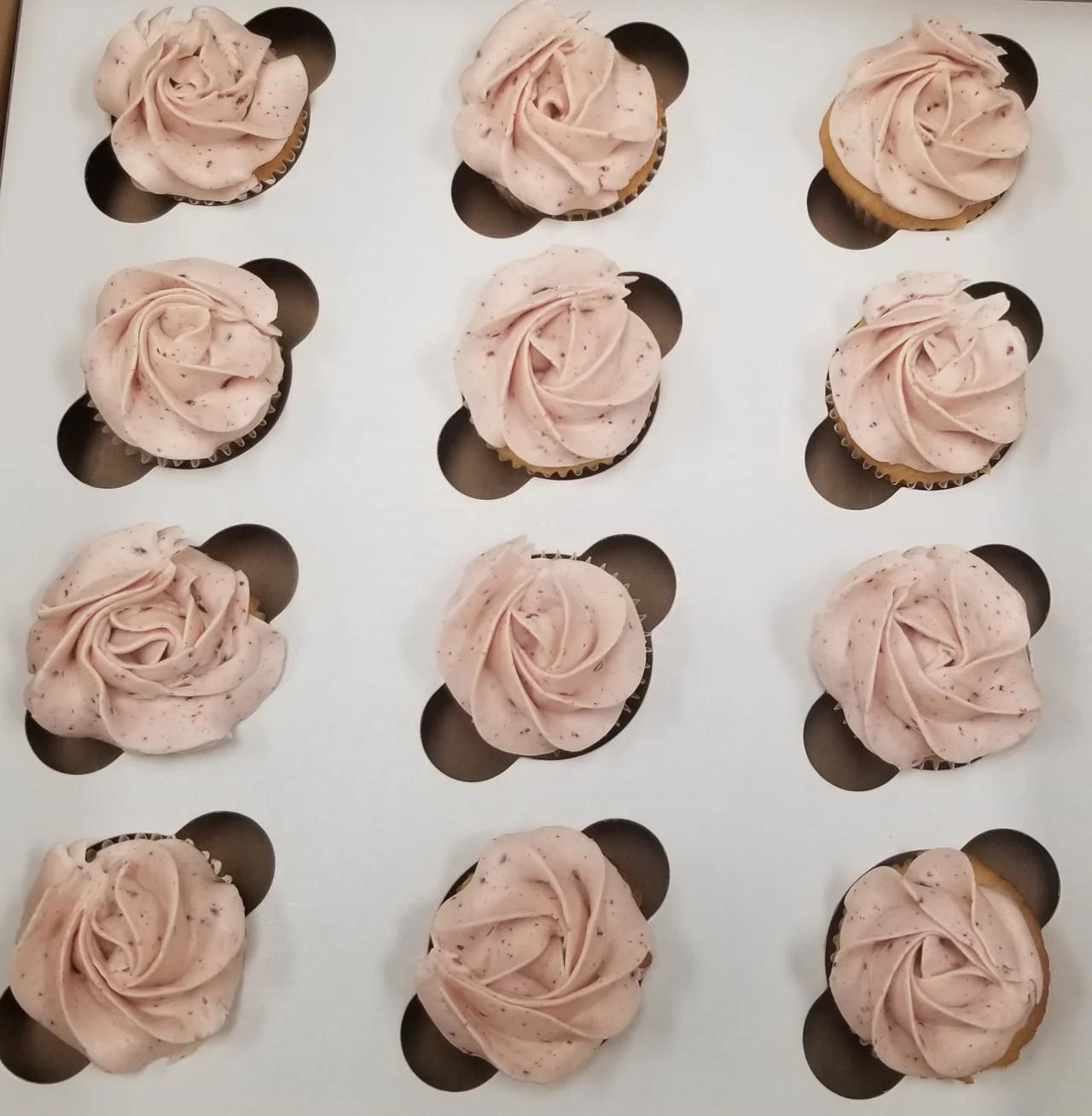 Mini Cupcakes 12 Pk