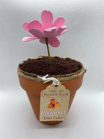 Dirt Cake (Small)