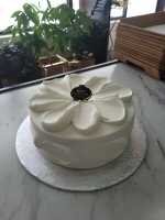 Eggless Cake