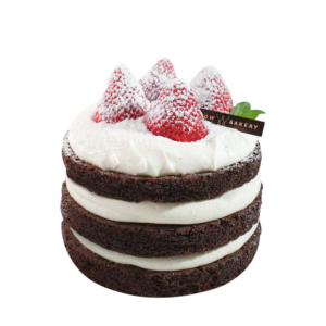 Chocolate Snow Cake