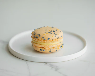 MACARONS - SEASONAL