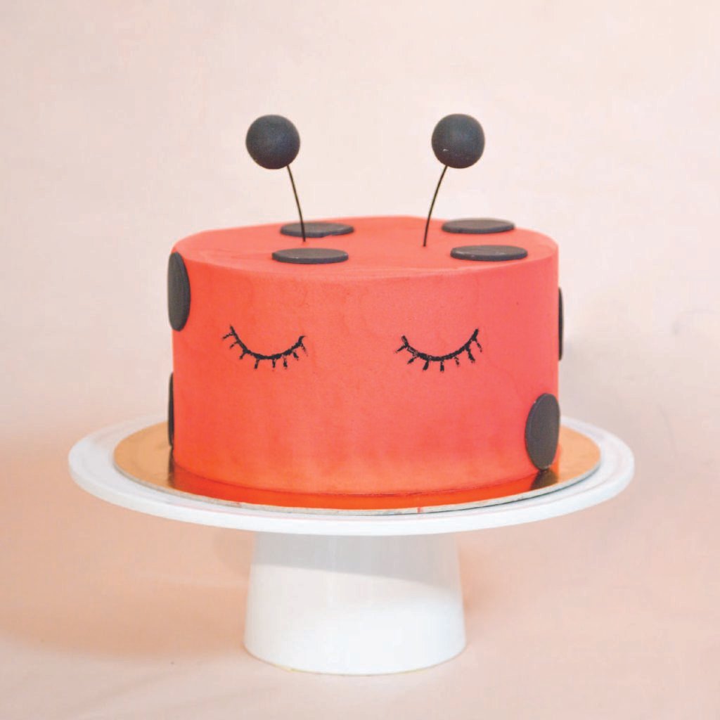Lady Bug