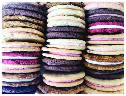 Gluten Sensitive Birthday Cake Sammy