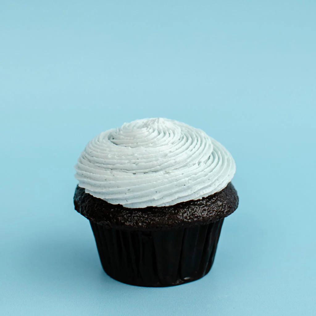 INDIVIDUAL VEGAN CUPCAKE
