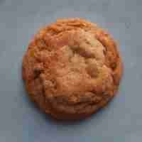 Vegan Snickerdoodle Cookies