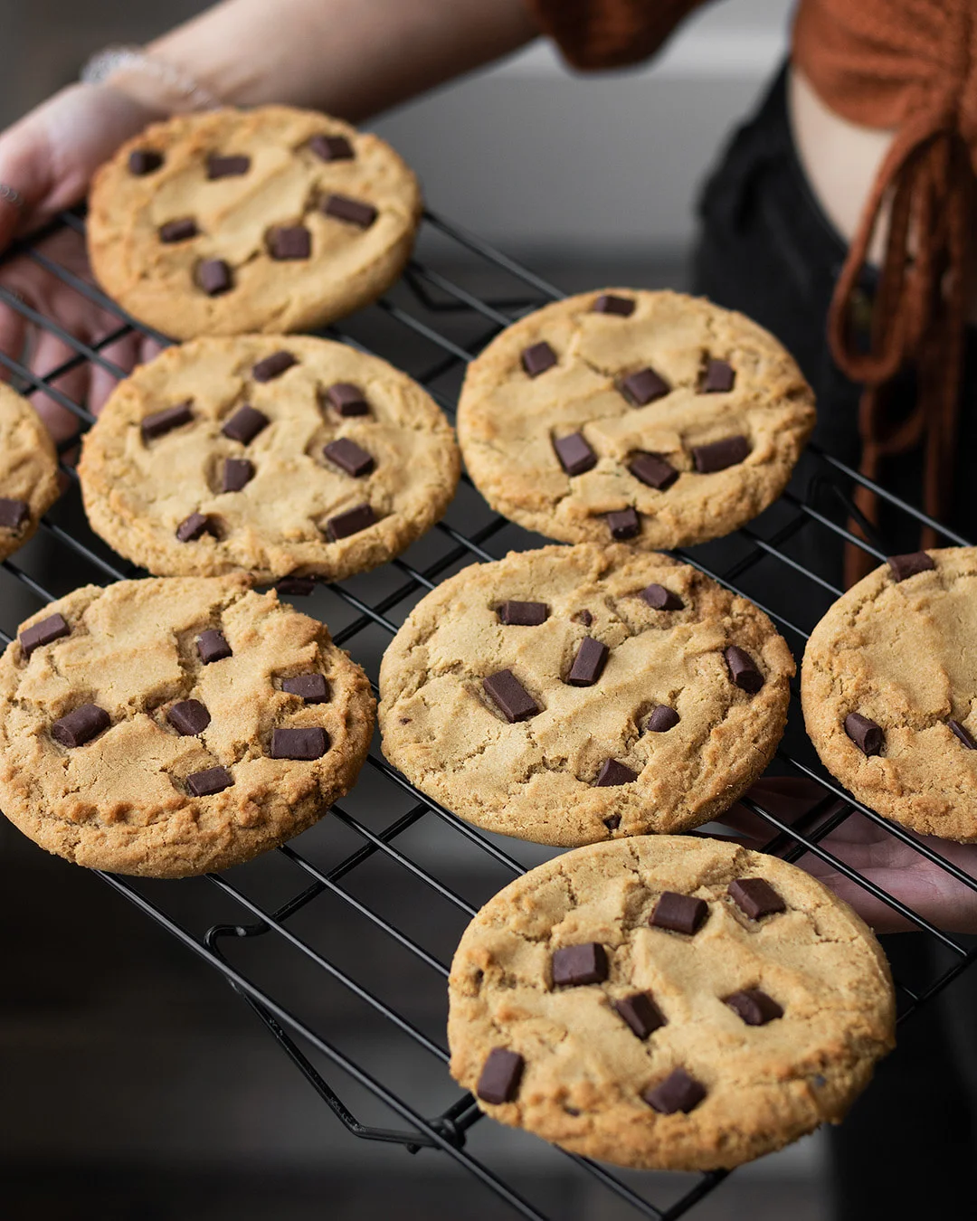Chocolate Chunk Cookie