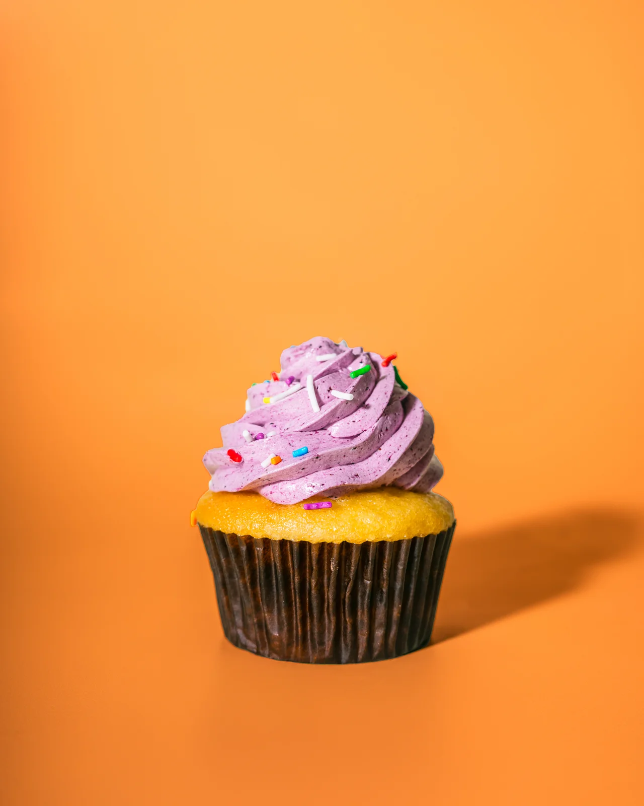 Vanilla Blueberry Cupcake