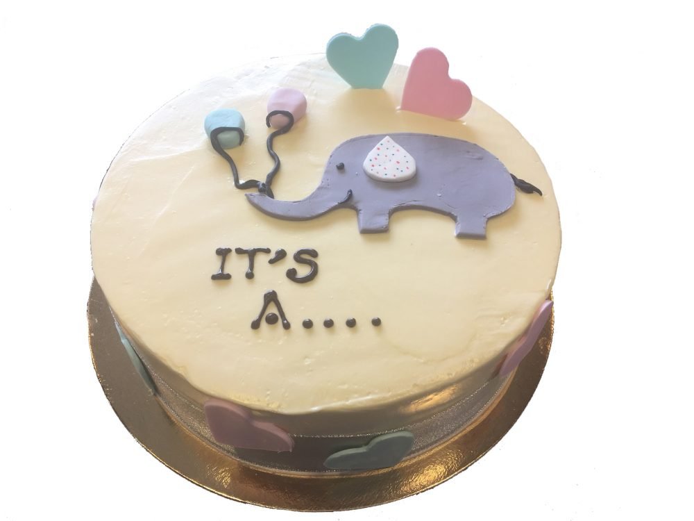 GENDER REVEAL CAKE- Elephant