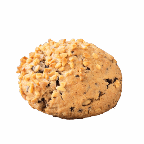Peanut Butter Chocolate Cookie