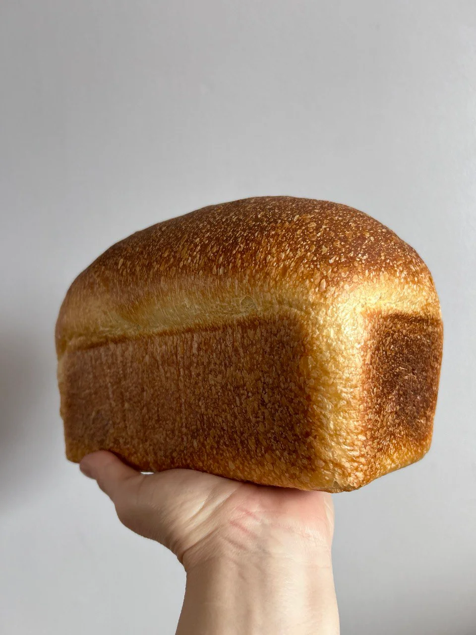 SANDWICH sourdough bread