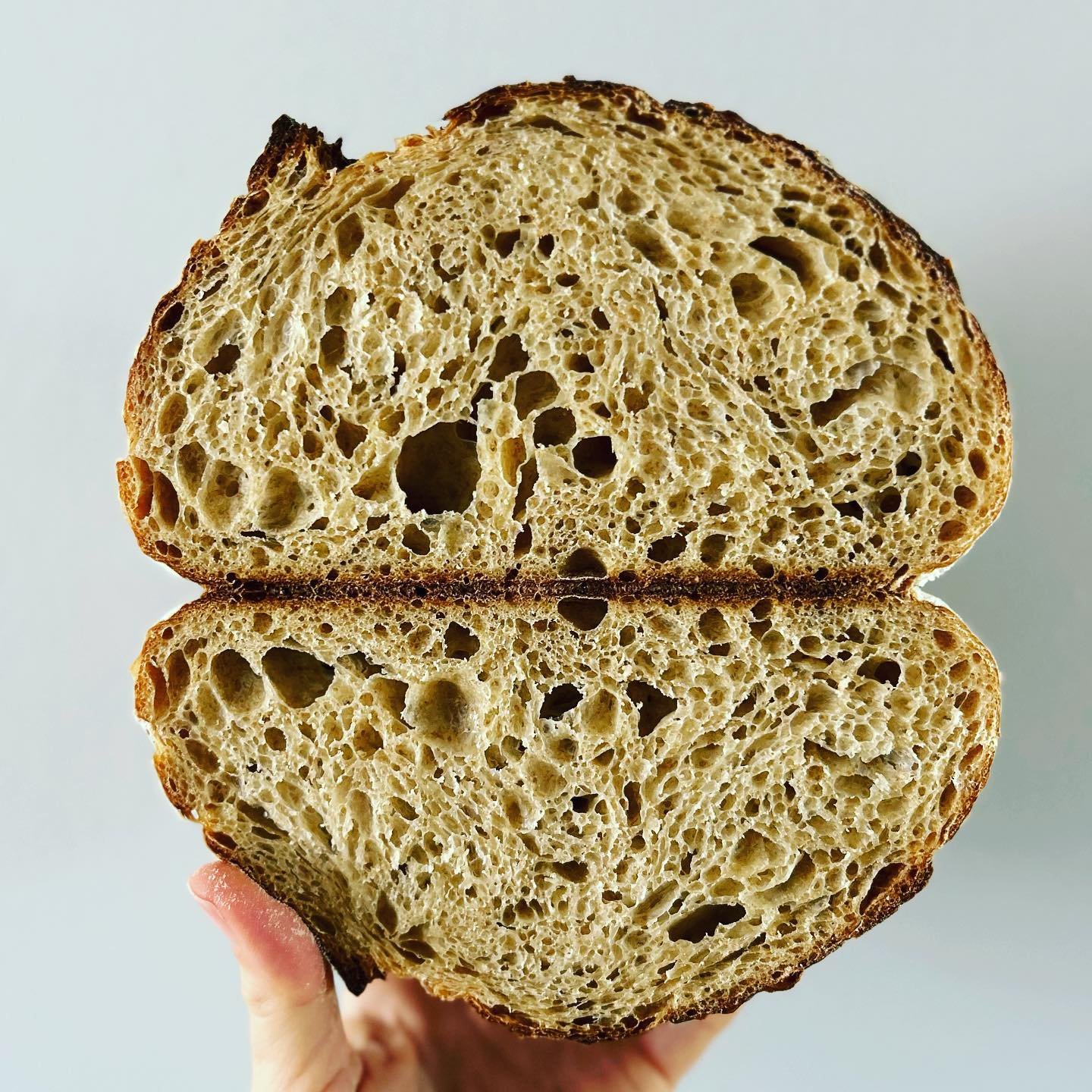 WHOLE WHEAT sourdough bread