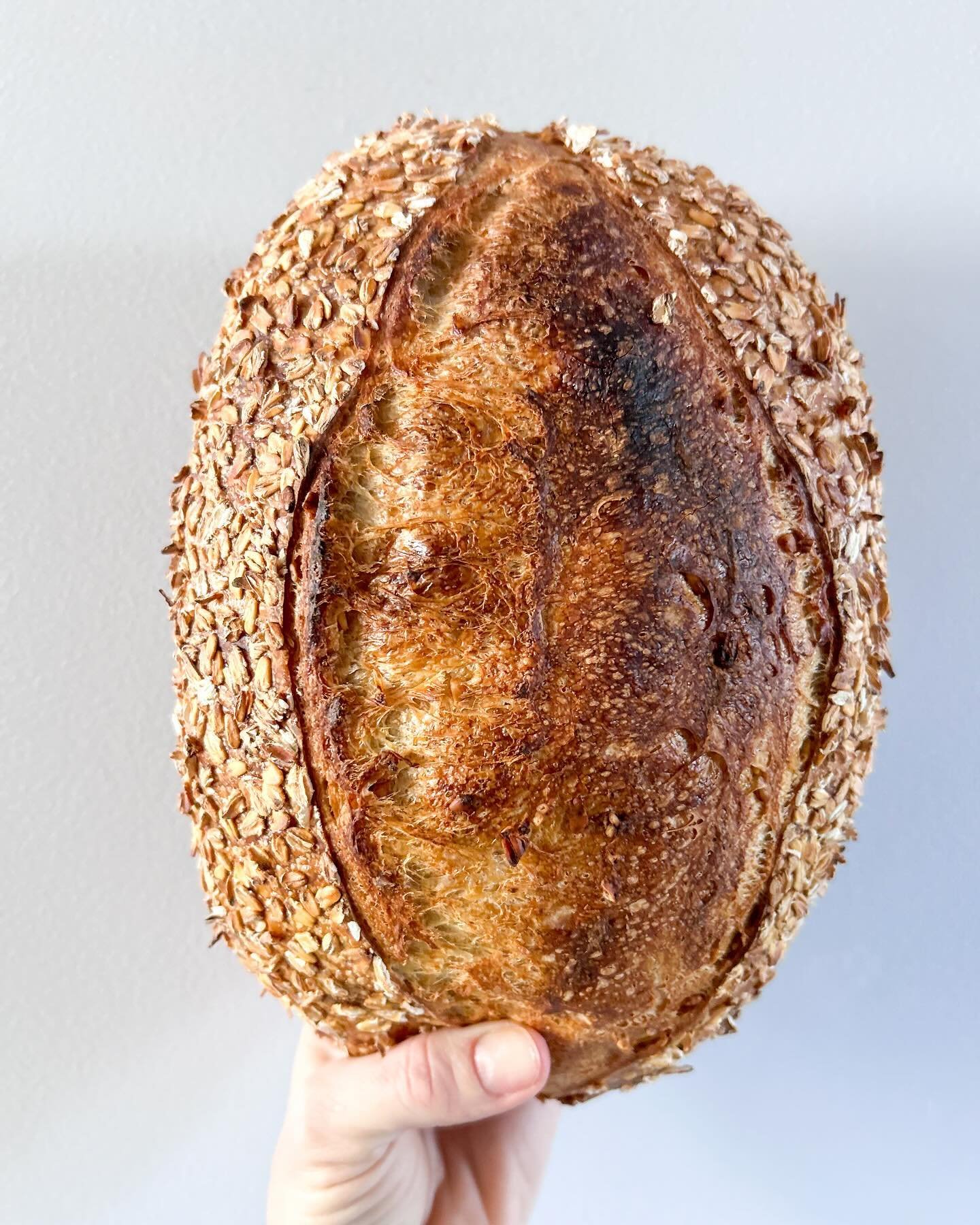 OATMEAL sourdough bread
