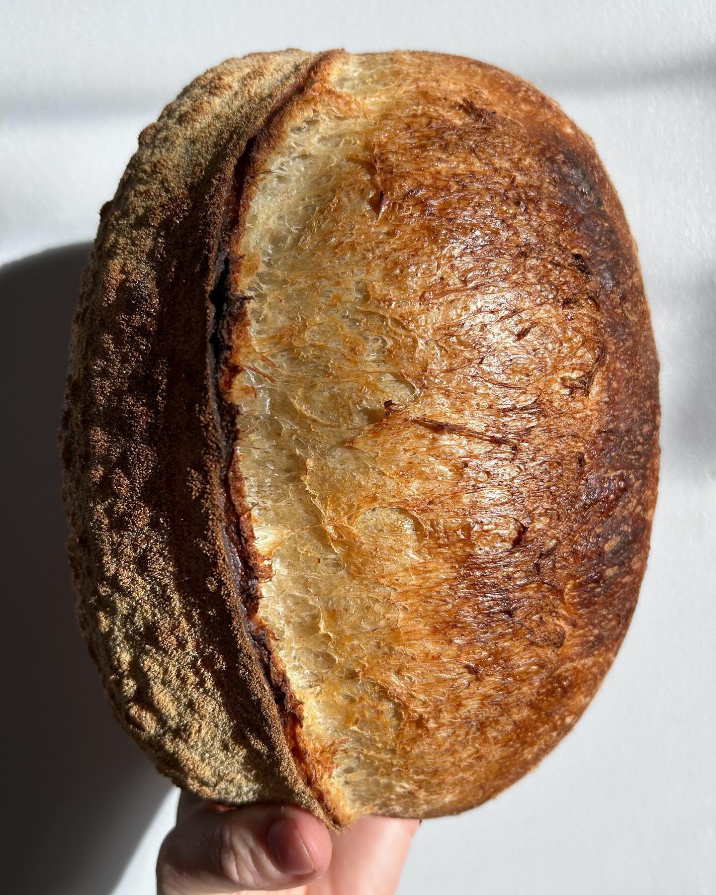 GARLIC & ROSEMARY sourdough bread
