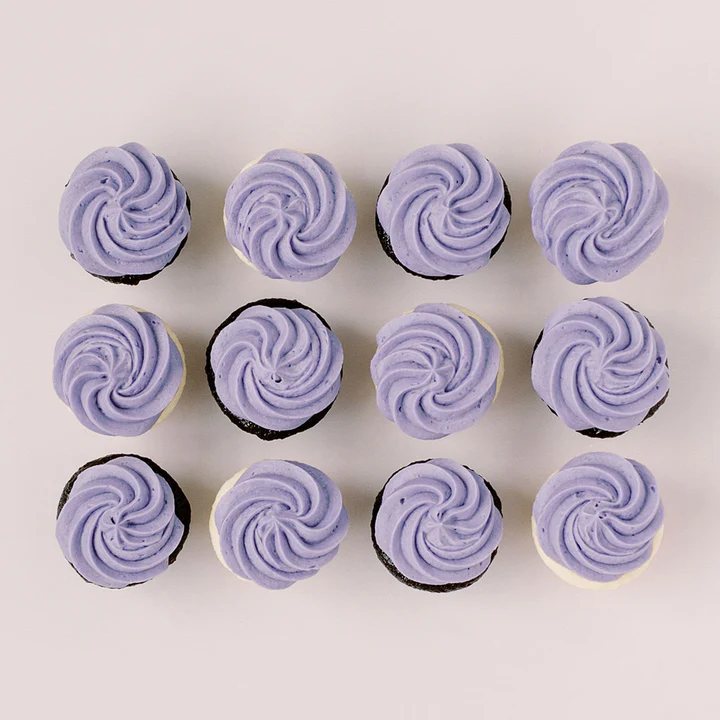 Custom Colour Mini Cupcake Dozen