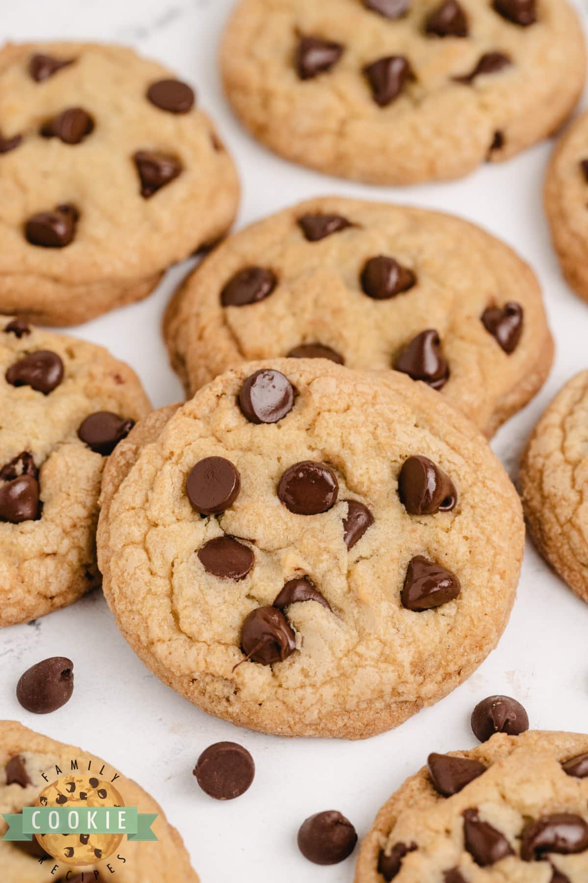 Chocolate Chip Cookie