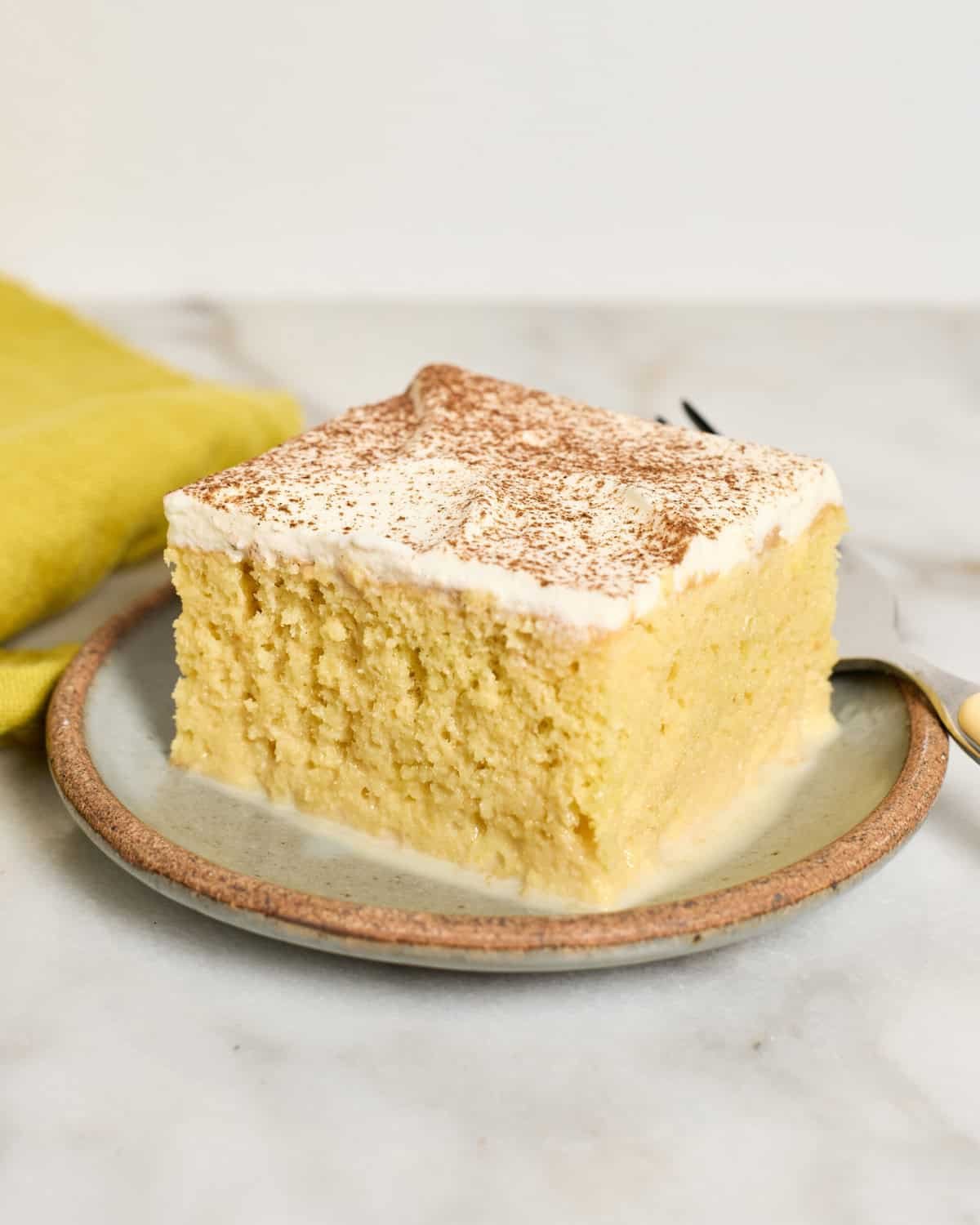 Family-Size Tres Leches Cake