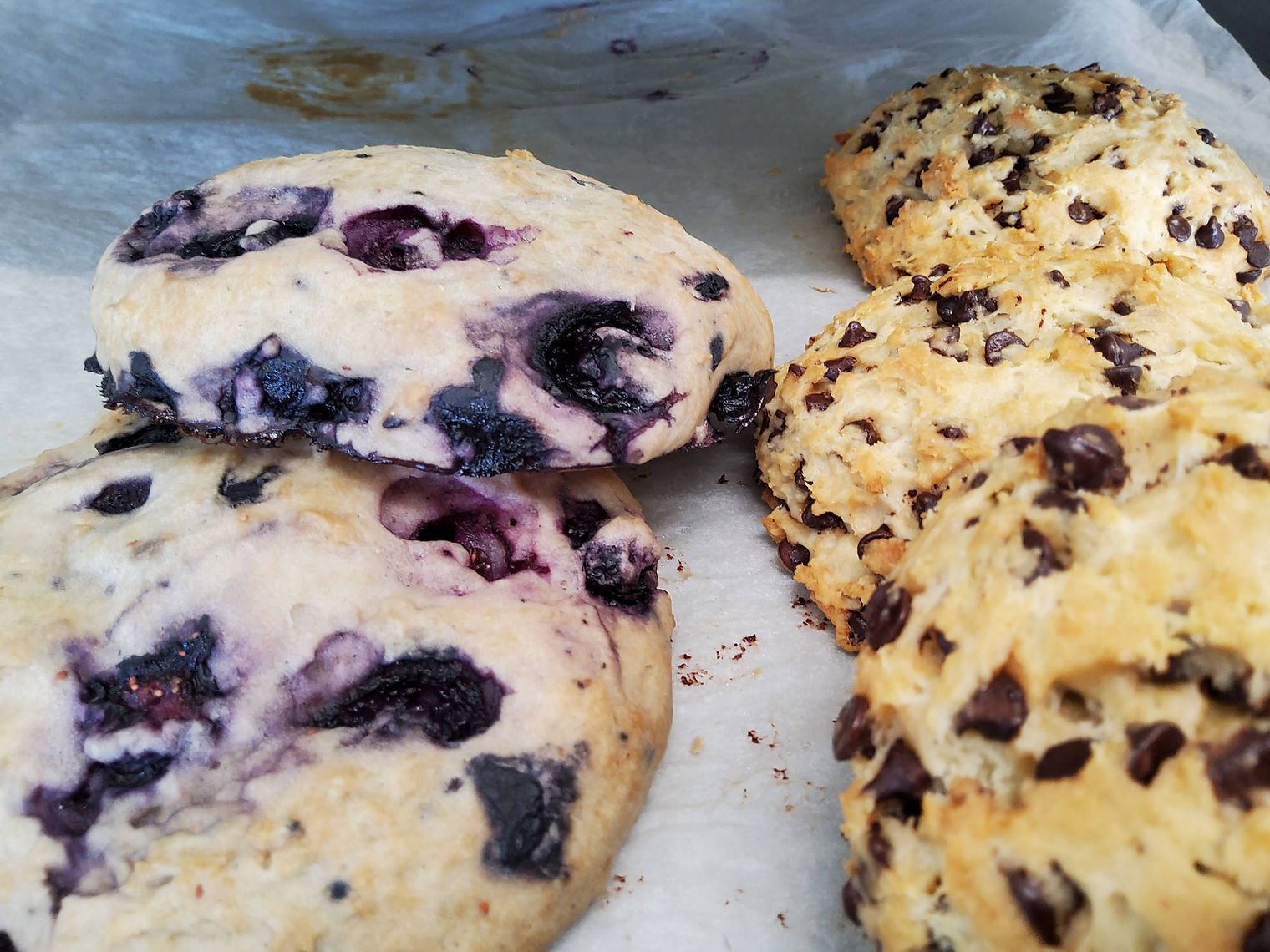 Blueberry or Chocolate Scones (Vegan)