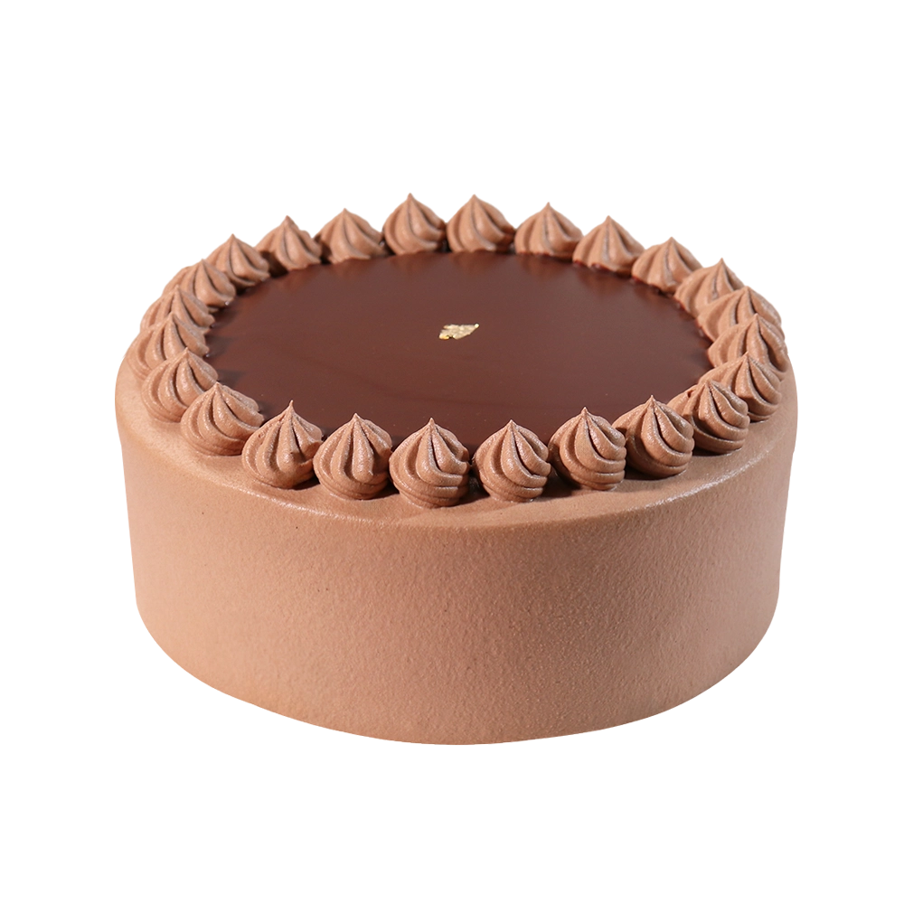 Chocolate Ganache Cake