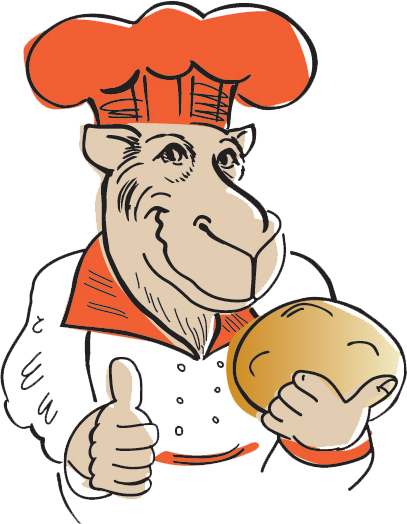The Happy Camel