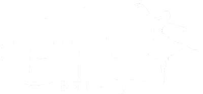 Bita Bakery (Jupiter Artistic Cake)