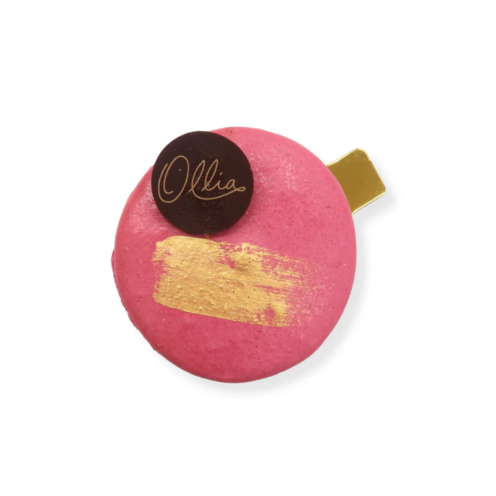 Dark Chocolate Praline Macaron Mini Cake
