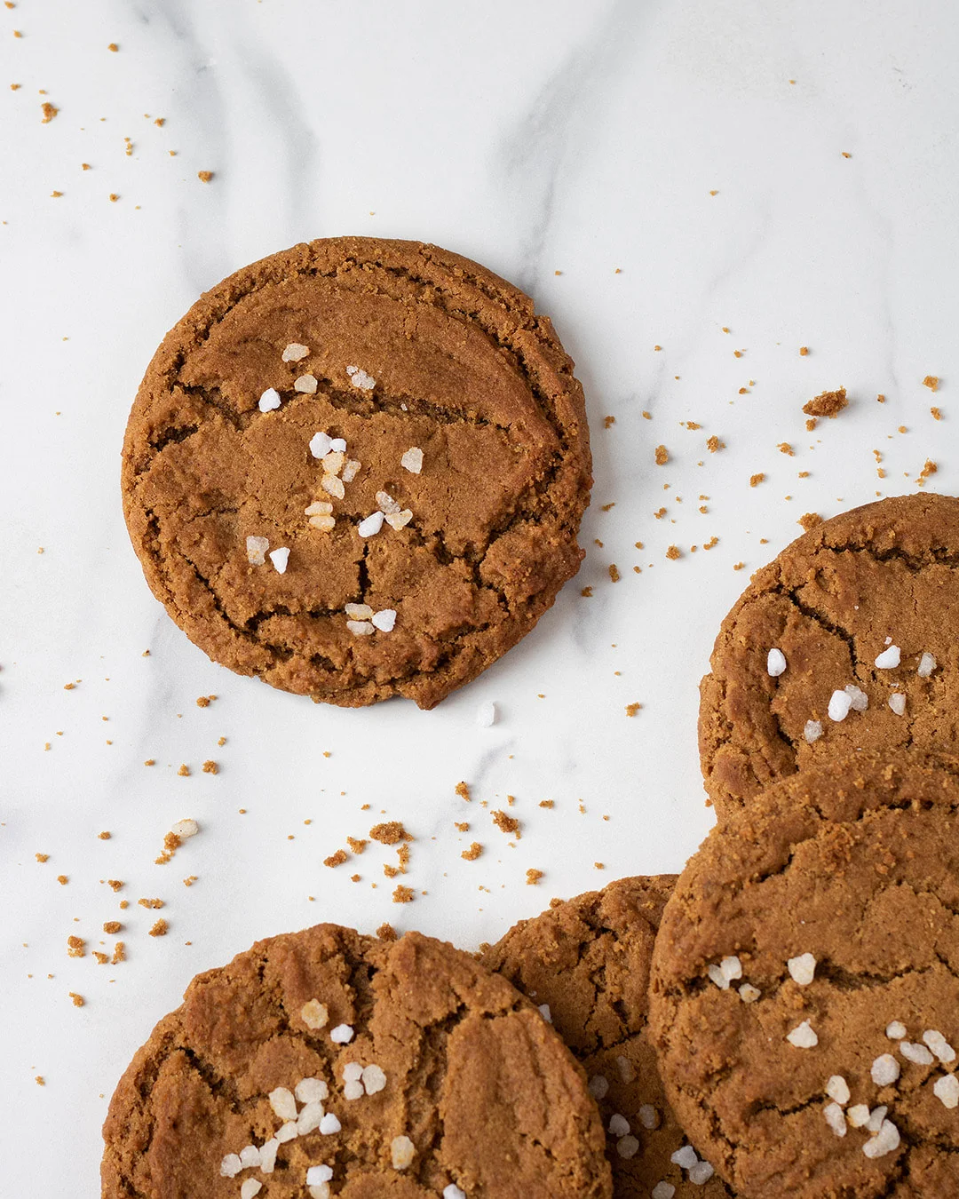 Ginger Molasses Cookie