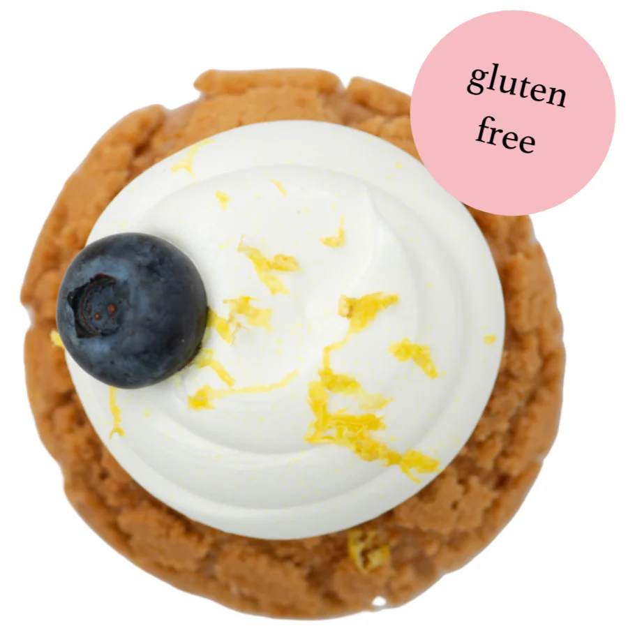 Gluten Free Lemon Blueberry Cream Puffs