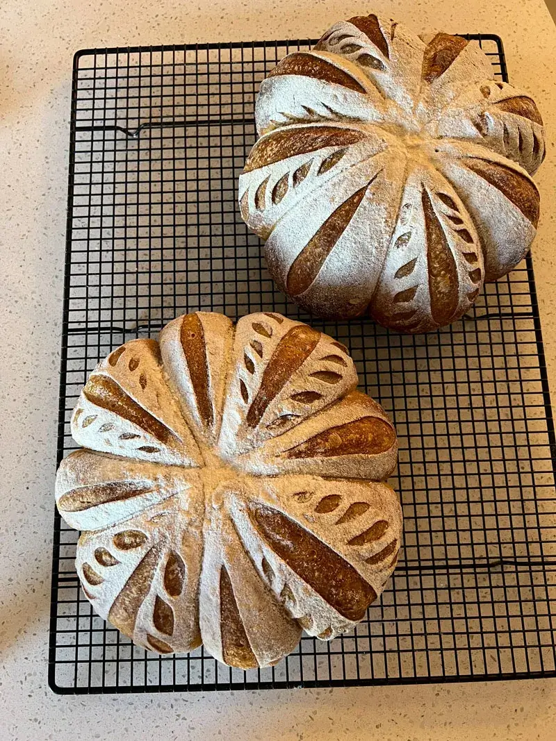 Sourdough Bread