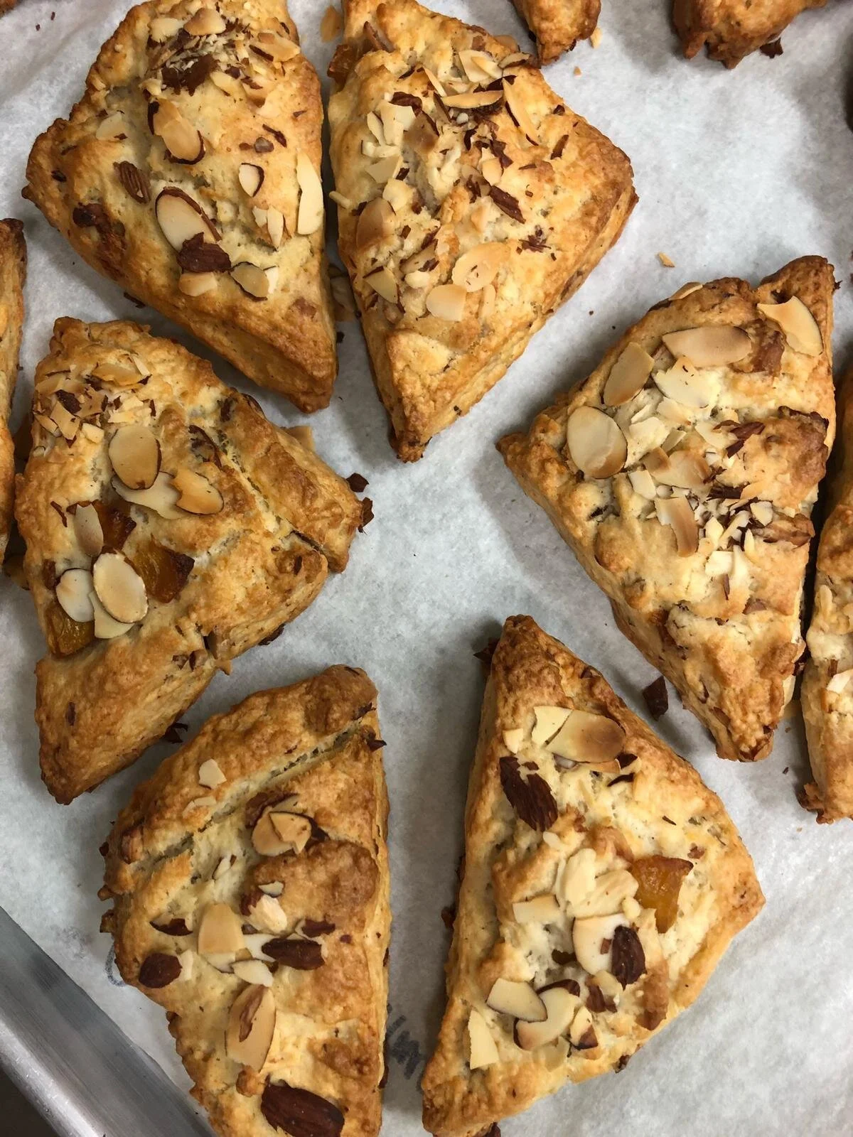 Blueberry White Chocolate Almond