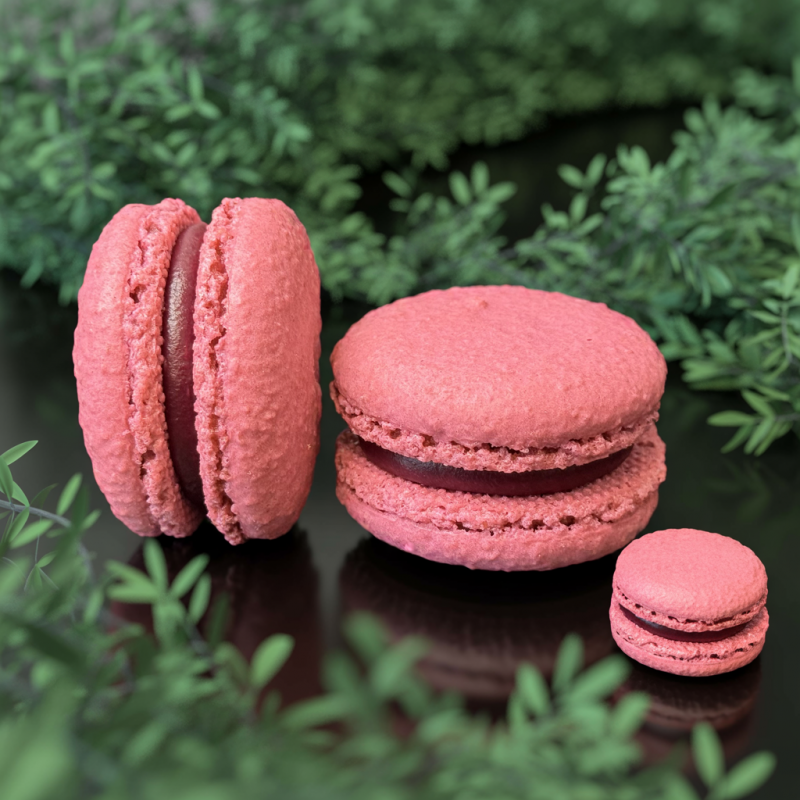 Black Currant Macaron