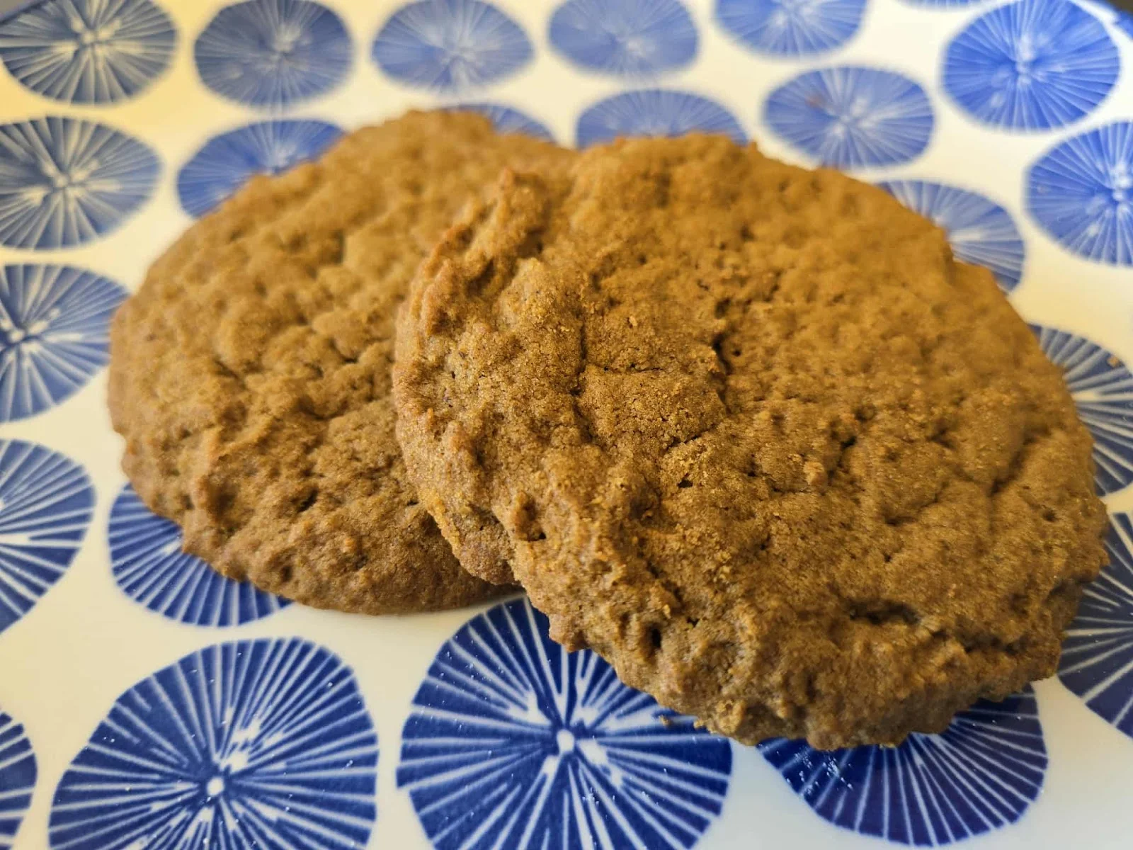 Gluten Free Ginger Cookie