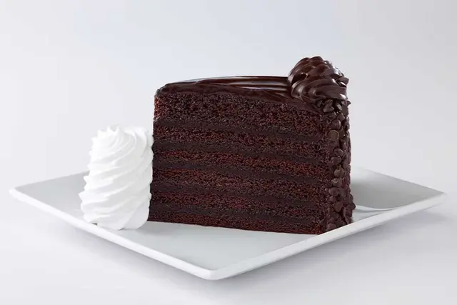The Cheesecake Factory Bakery Fudge Cake Slice