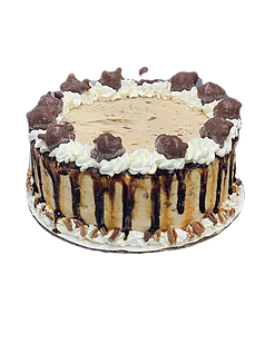 Turtle Cake